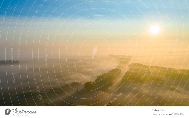 Aerial view of early morning mist over small rustic road among forest trees Above Asphalt Autumn Brume Canopy Climate Colorful Dawn Drive Early Ecosystem Empty