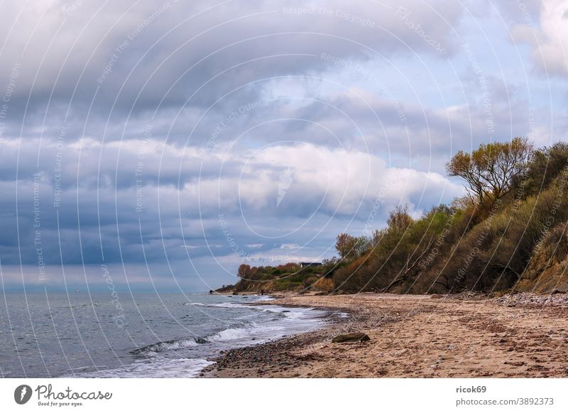 Stones on the Baltic Sea coast near Meschendorf Ocean Mecklenburg-Western Pomerania Beach Baltic coast stones Rock Boulders Tree steep coast Sky Clouds Blue