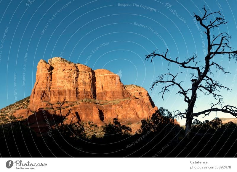 In the evening the red rock formations light up, the shadow grows and settles on the vegetation in the foreground Nature Landscape stones Rock formations Stone