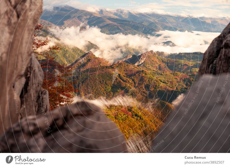 Autumn forest in the cerna mountains, panoramic view. autumn background beautiful blue cernei domogled valley colorful domogled valea cernei fall landscape