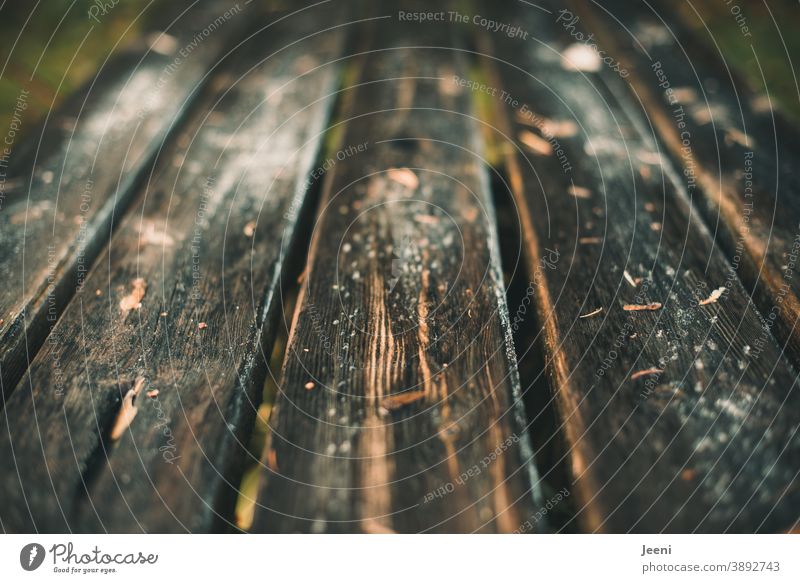 Wet garden table made of rustic wood covered with light frost Garden table Garden bench Picnic bench picnic Autumn Frost Damp Cold chill Dew Frozen Winter