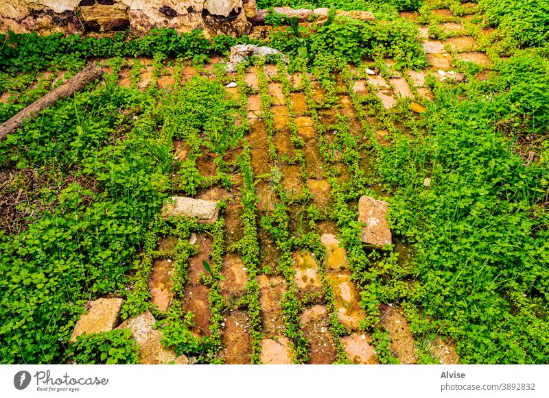 grass and bricks vintage old background wall pattern architecture stone texture retro green nature design natural construction brown surface building abstract