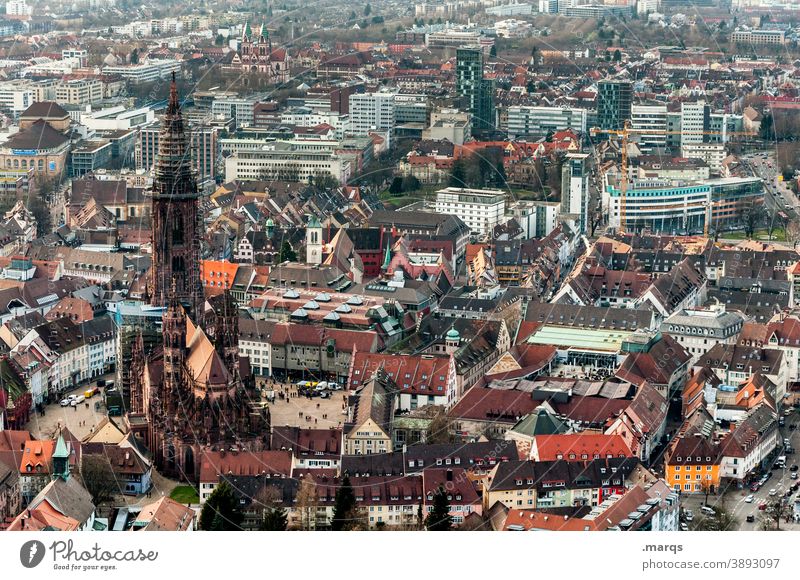 Freiburg i. Br. Panorama (View) Freiburg im Breisgau Town Religion and faith Historic Church Architecture Bird's-eye view Old town Downtown munster of freiburg