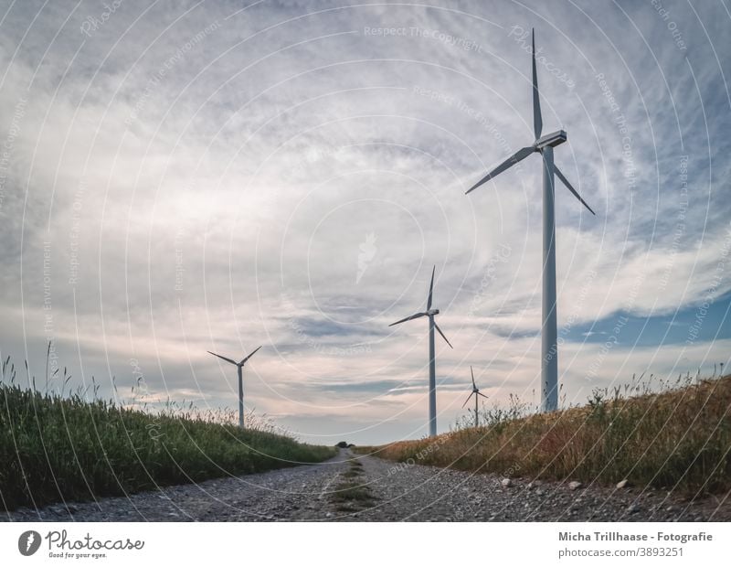 Wind turbines along the field path Wind energy plant windmills Renewable energy Technology Energy industry Electricity stream sustainability Agriculture Field