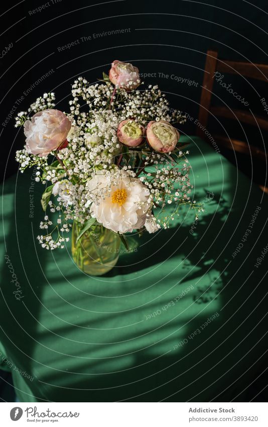 Vase with gypsophila and peony flowers on table bouquet bunch rustic delicate tender vase glass pink white elegant bloom blossom fresh floral plant romantic