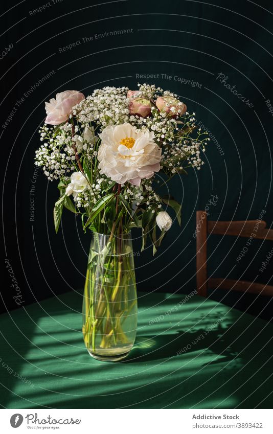 Vase with gypsophila and peony flowers on table bouquet bunch rustic delicate tender vase glass pink white elegant bloom blossom fresh floral plant romantic