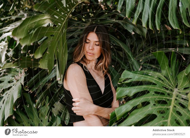 Optimistic woman in green tropical park monstera garden summer enjoy positive female exotic relax nature young greenery optimist summertime recreation lady rest