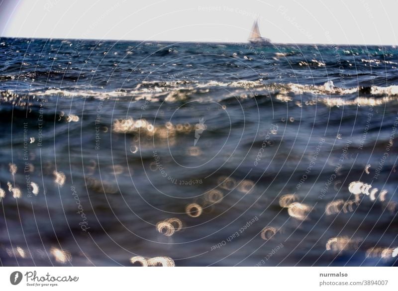 Donuts with sailing wessel Ocean salt water Waves Mediterranean sea Sailboat Far-off places Horizon sparkle vacation Sailing be afloat go away Sardinia Nature