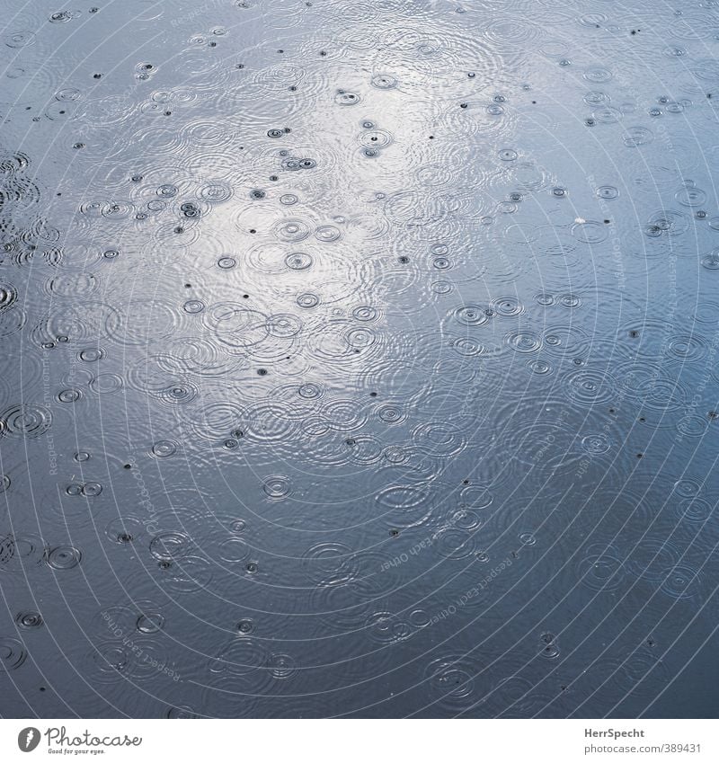 I think it's gonna rain today Nature Water Weather Bad weather Rain Pond Lake River Esthetic Cold Round Beautiful Gray Circle Drops of water Undulation Disperse