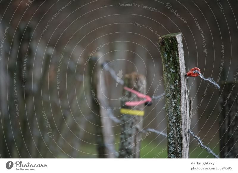 Fence of wooden posts with wire at the edge of a pasture with electrical fuse Electrified fence Willow tree country Agriculture old rural Scene color tapes