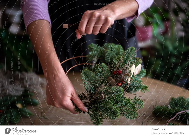 Woman making a Christmas crown from winters leaves outdoor leaf nature hand cristmas woman flower cornet fresh midsummer festival garden june religion wreath