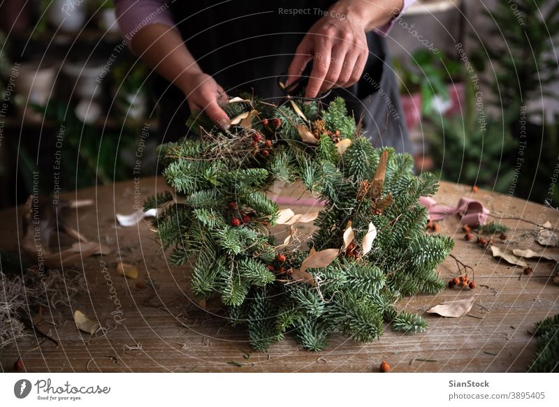 Woman making a Christmas crown from winters leaves outdoor leaf nature hand cristmas woman flower cornet fresh midsummer festival garden june religion wreath