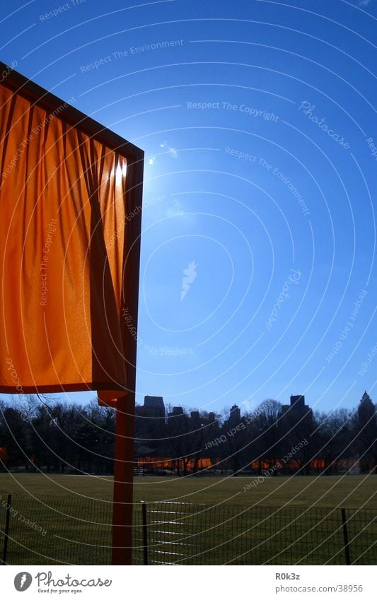 theGates New York City Saffron Meadow Exhibition Sky Orange christo