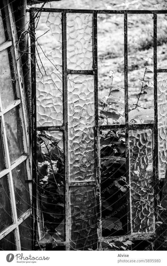 black and white window abandoned house old vintage home tree wood building wooden rural architecture nature roof structure aged rustic country exterior wall