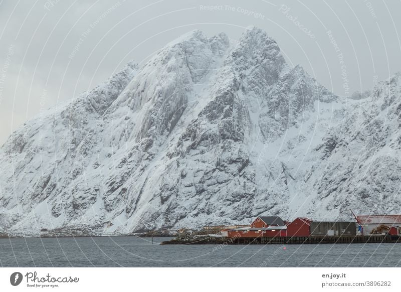 snowy mountain at the fjord with small red cabins in the foreground Sound Lofotes Norway Scandinavia Snow Winter Fjord Rorbuer Chalet vacation Water Ocean