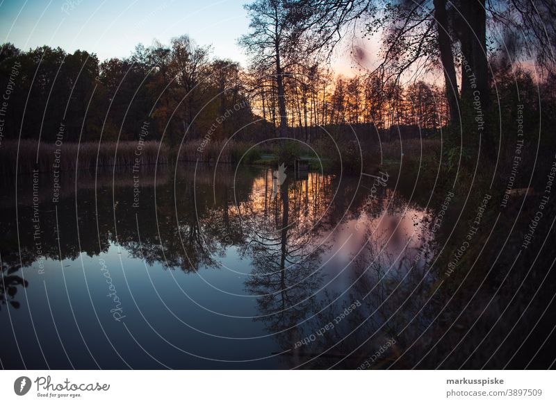 Franconian natural landscape - pond in the sunset Vantage point Nature Hiking Tourism sustainability Upper Franconia Bavaria Forest Rock Nature reserve Pond