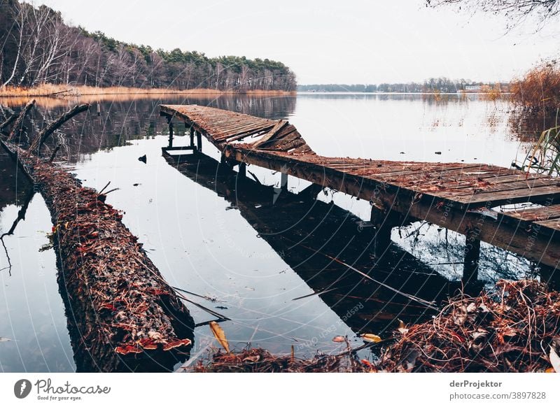 Destroyed jetty with reflection in a lake in Brandenburg Grief Goodbye Subdued colour Contrast Copy Space bottom Copy Space top Copy Space left Copy Space right