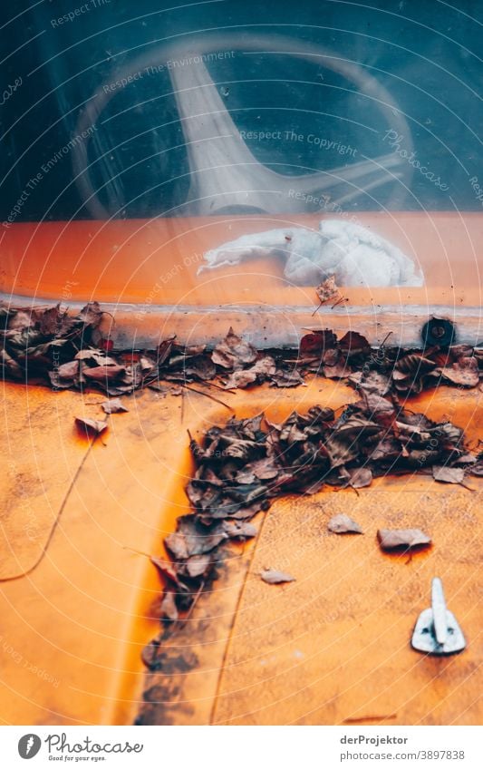 Boat with leaves on a Brandenburg lake Grief Goodbye Subdued colour Contrast Copy Space bottom Copy Space top Copy Space left Copy Space right Copy Space middle