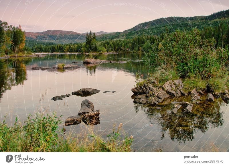 allein, aber nicht einsam Norwegen Landschaft Natur Fjord Felsen Reisen Licht Wasser menschenleer Erholung Urlaub Skandinavien