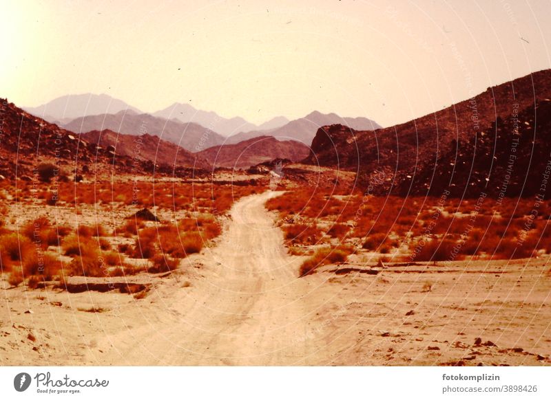 Desert Way Deserted Sand Nature Desert Mountains Sahara Far-off places Landscape Outdoors Lanes & trails warm tranquillity Nostalgia silent Exterior shot