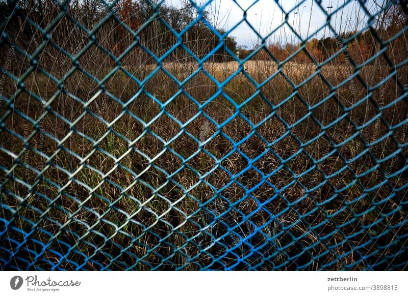 Sprayed wire mesh variegated Colour colored holidays Garden sprayed Grass Border Autumn allotment Garden allotments Wire netting Wire netting fence Deserted