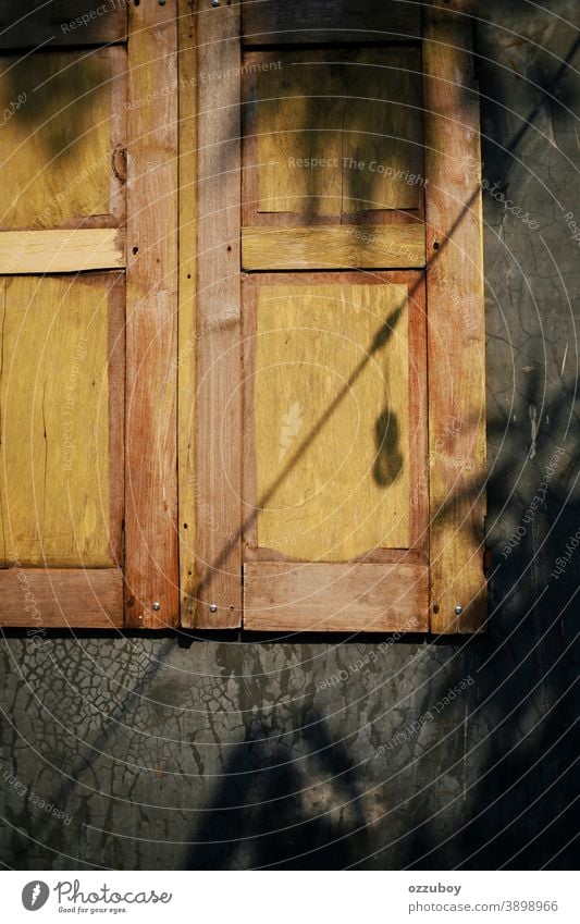 shadow of lamp and leaf on rusty window wall Shadow Lamp Leaf Cable Window Wall (building) background Copy Space Wall (barrier) Facade