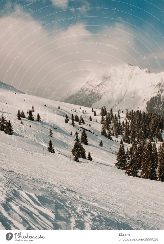 Winterlandschaft im Südtiroler Ratschings winter winterlandschaft ratschings bäume wald schnee skipiste berge alpen wintersport südtirol urlaub italien ferien