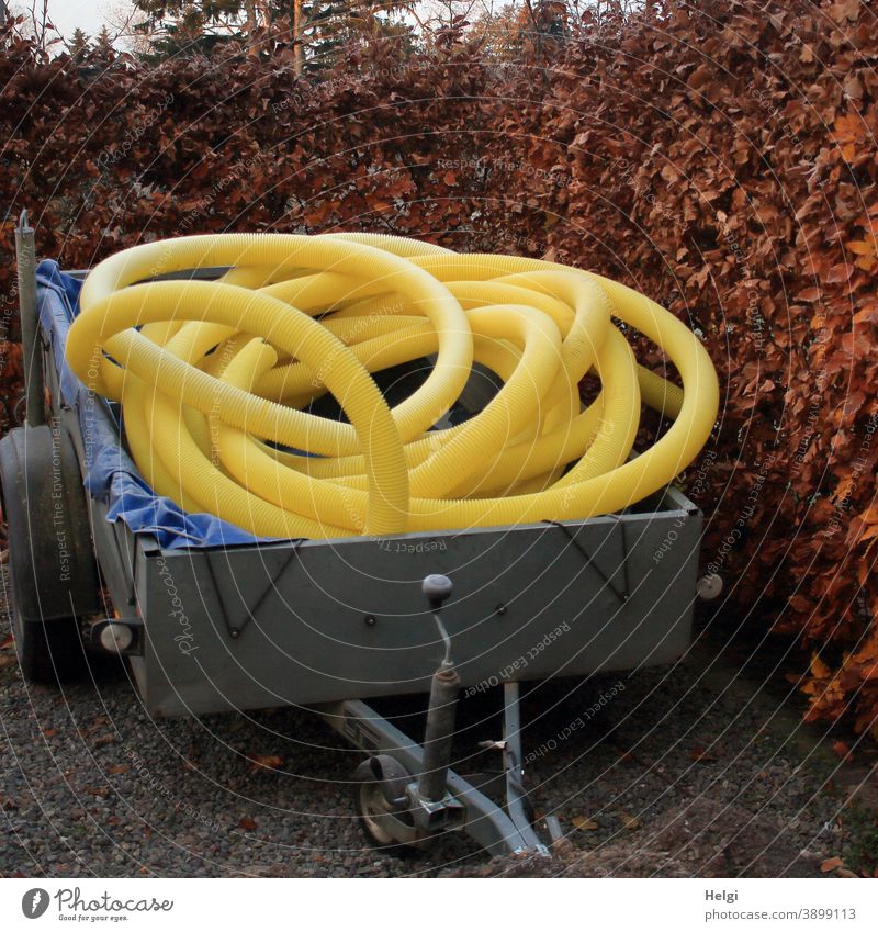 yellow plastic empty tubes are rolled up on a trailer standing in front of a beech hedge Trailer Empty tubes Cable conduit flexible Yellow Civil engineering