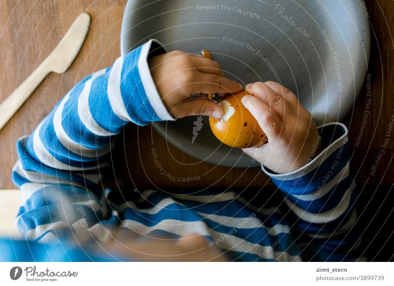 Child with colorful easter egg Easter Egg Easter egg Complementary colour complementary Yellow Blue Infancy small hands Eating Breakfast organic eco