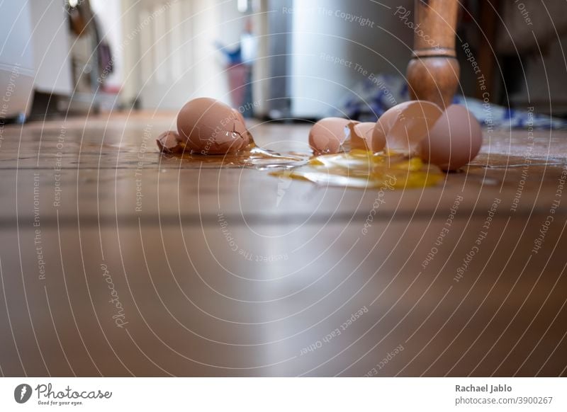 Broken eggs on wooden floor Eggshell Food Breakfast Detail broken egg Kitchen Hen's egg Interior shot Colour photo Nutrition Shallow depth of field messy