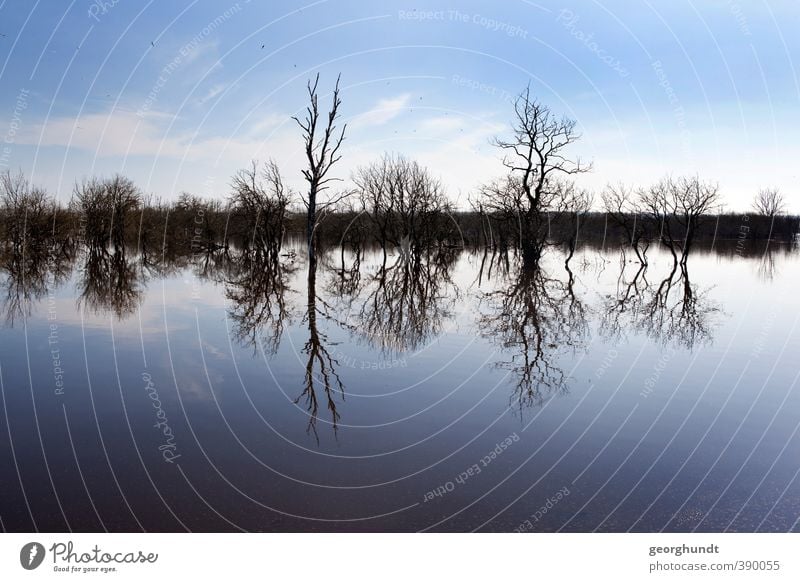 flood of galena Trip Winter Environment Nature Landscape Plant Water Sky Clouds Tree Hill Lake Bizarre Fleet yard galenbeck Mecklenburg-Western Pomerania