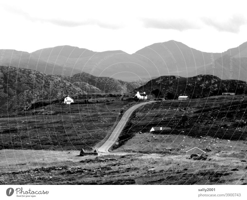 Neighborhoods ... with distance ... Landscape houses neighbourhood wide Scotland settlement Mountain Highlands Great Britain Hiking Loneliness Exterior shot