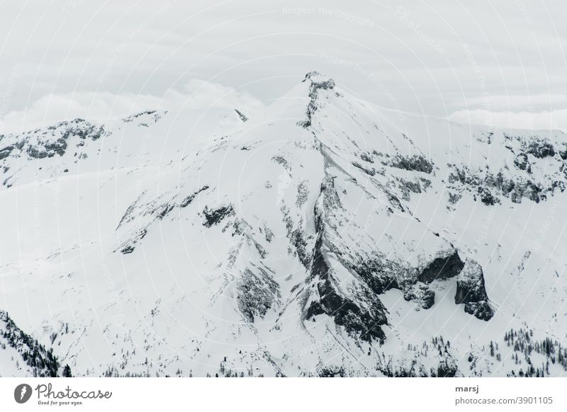 Styrian and Lungau limestone peak in winter, snow-covered mountain top Mountain summits Point Steep Chalk alps Alps Clouds Vacation & Travel Nature Peak