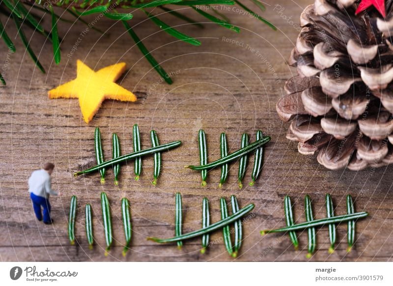 Christmas, December 24 Christmas Eve How many days left? Miniature mini worlds Stars fir needles Fir branch Fir cone Decoration Christmas & Advent