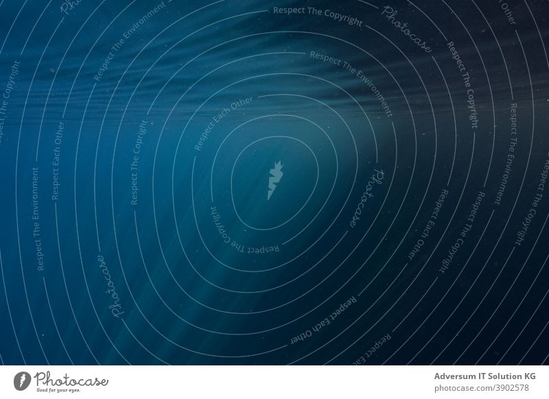 Sunrays in the water Underwater photo play of lights Water Blue Dive Ocean Deep Vacation & Travel