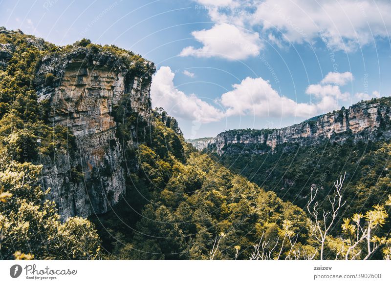 Landscape of the Prades mountains, in Tarragona, Spain. la febró prades catalonia spain without people outdoor medium copy space color landscape horizontal top