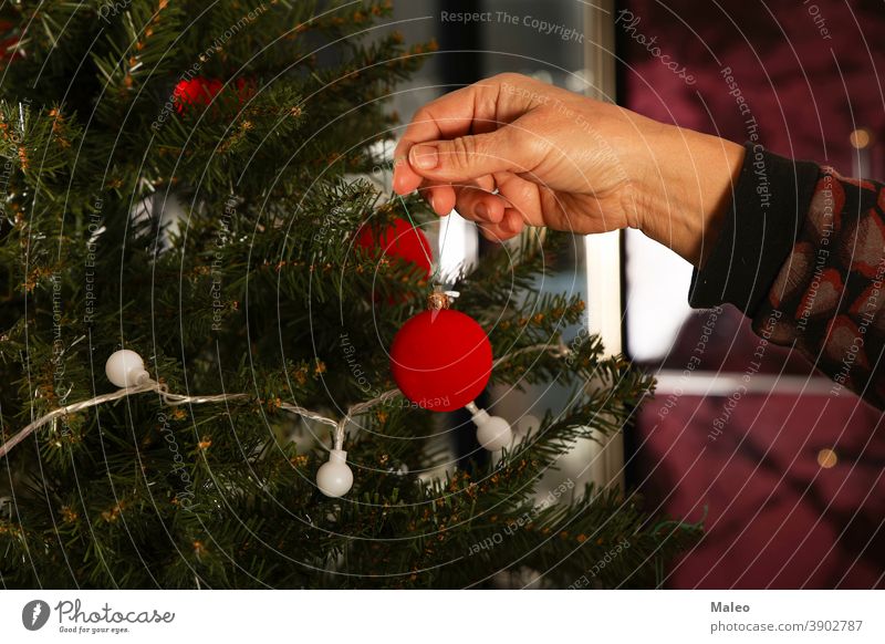 Beautiful red balls are hung on the Christmas tree decorating home tradition golden hand background beautiful black bokeh bright celebrate celebration christmas