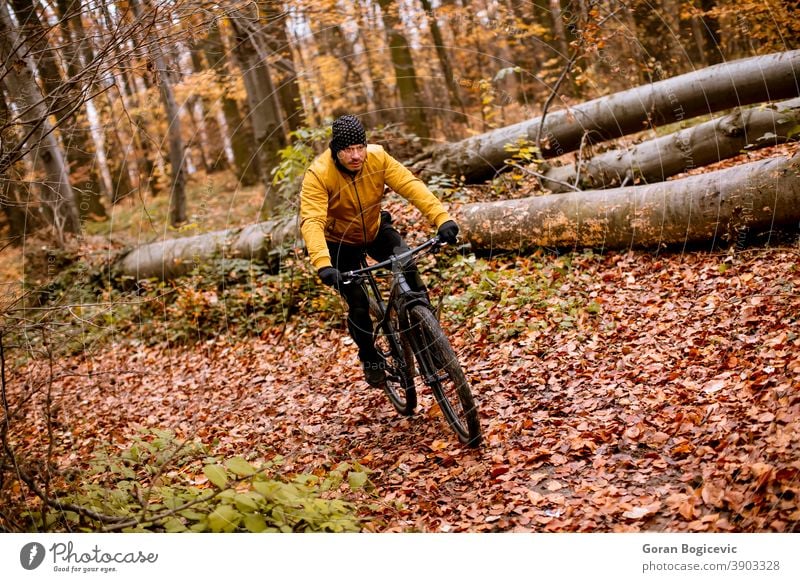 Young man biking through autumn forest bicycle bike nature ride cyclist biker lifestyle outdoor sport exercise trail mountain action extreme recreation tree