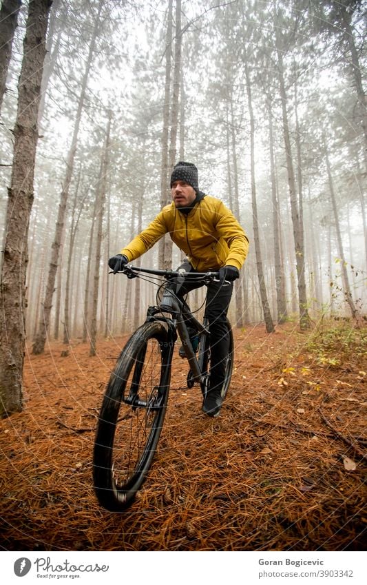 Young man biking through autumn forest bicycle bike nature ride cyclist biker lifestyle outdoor sport exercise trail mountain action extreme recreation tree