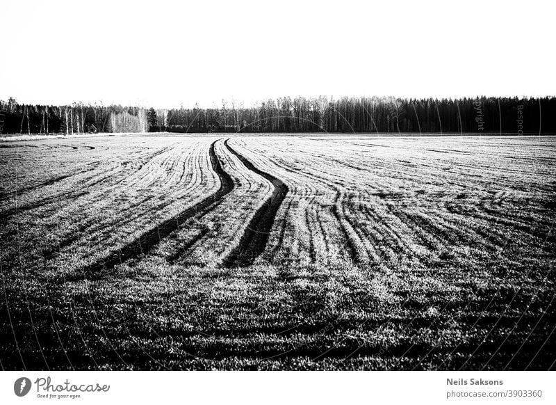 tracks of tractor on agricultural field Agricultural agriculture cereal corn country countryside ear farm farming food grain growth harvest land landscape