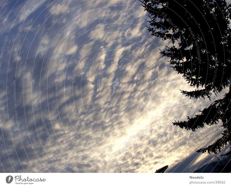 cloudy sky Sunset Clouds Fir tree Mountain