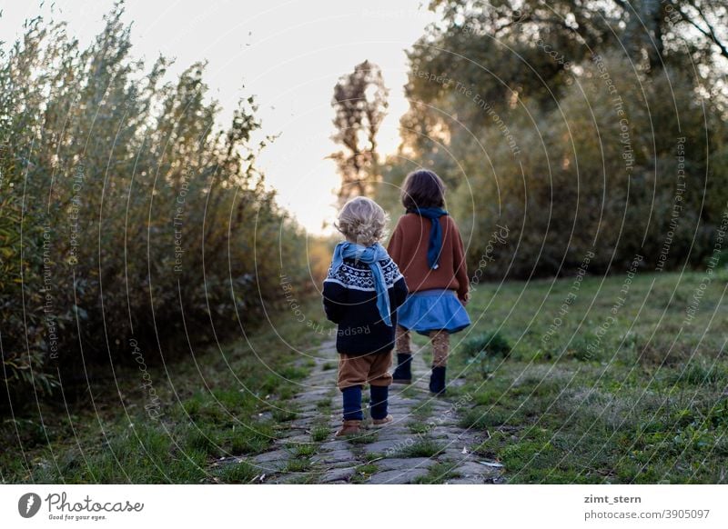 Children feel free in nature autumn light children Free evening mood Infancy Waldorf Waldorf kindergarten Forest kindergarten Childhood dream Country life