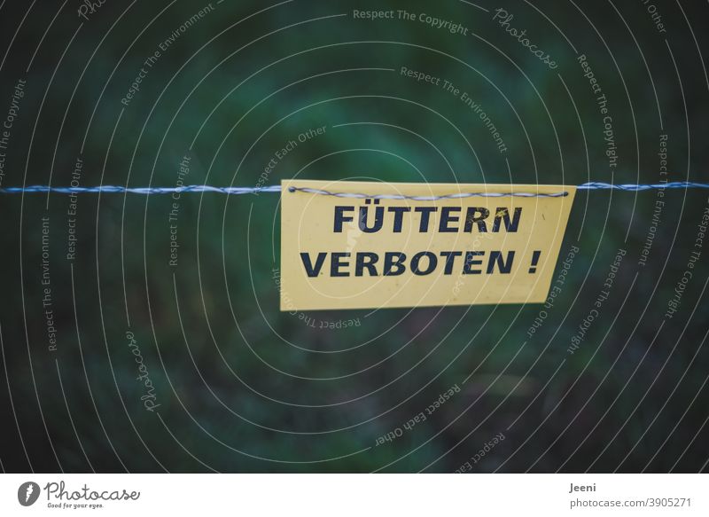 Feeding forbidden | so it is written on a yellow warning sign at the paddock for animals | the forbidden sign is attached to an electric wire feeding forbidden