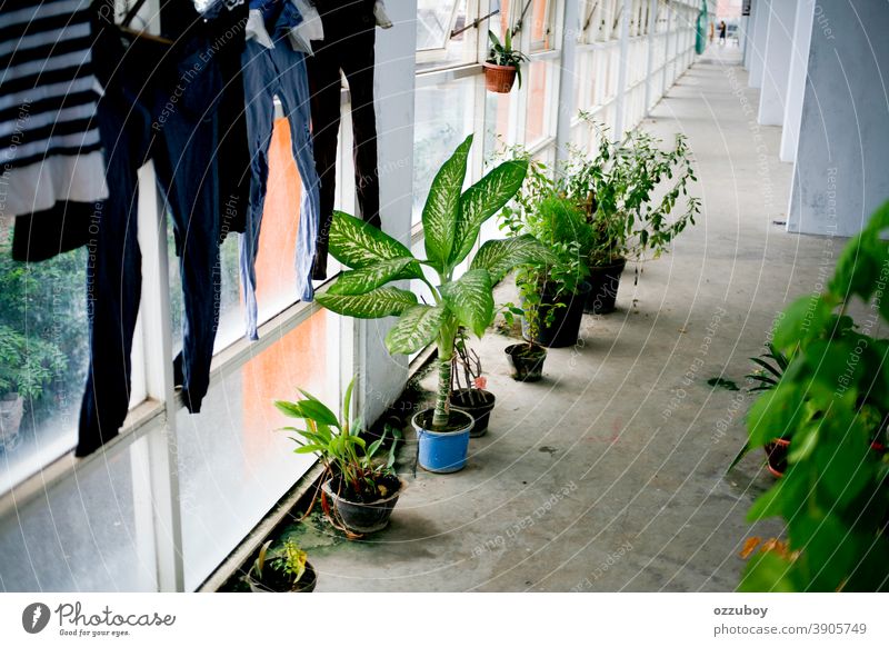 corridor Corridor Architecture Column Arcade Building Facade Colour photo Laundry Cloth clothes Hanging corridor district Plant plants potted Potted plants