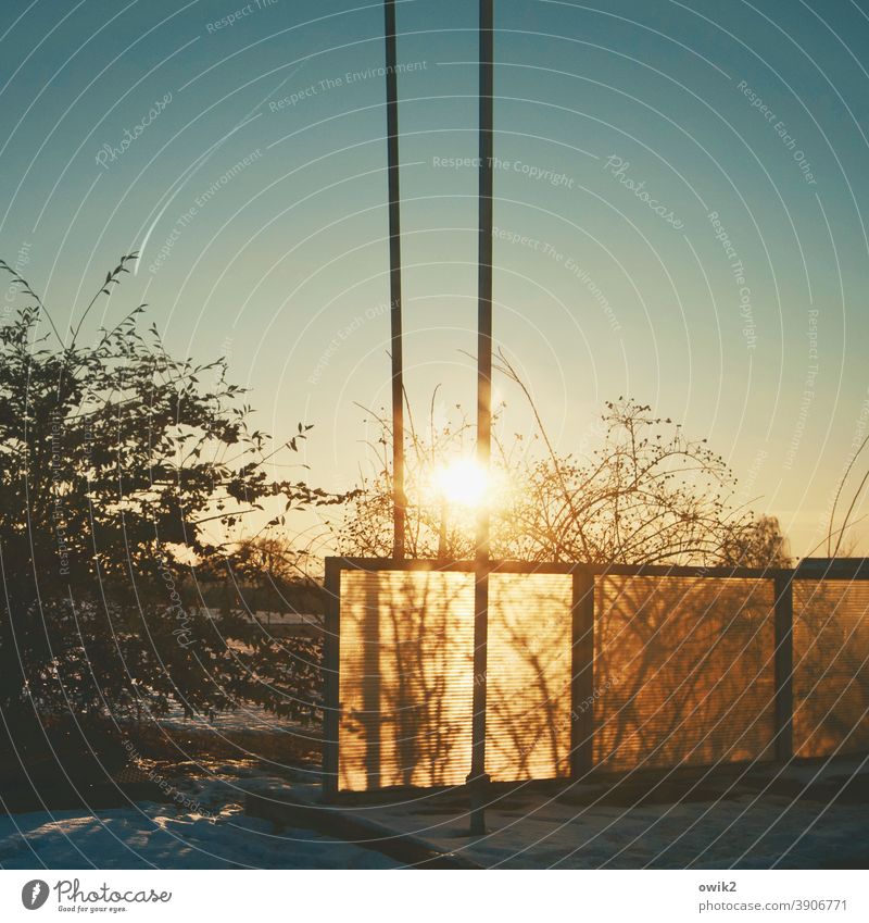 matter of opinion Petrol station Colour photo Exterior shot Sunlight Long shot Shadow Structures and shapes Plant Bushes twigs branches mast Pole balustrade