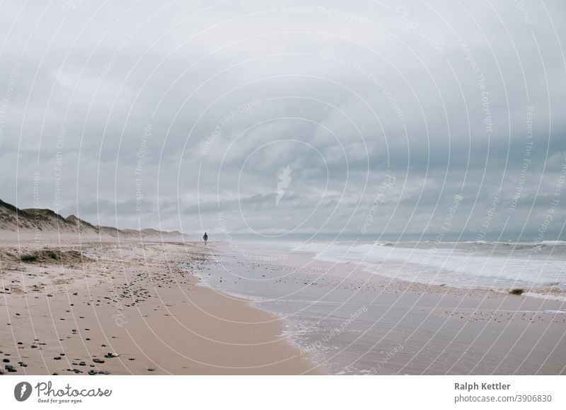 Walker on the beach of the North Sea in Denmark Ocean Beach Gale vacation hikers Digital holidays travel Landscape coast Nature Clouds Waves