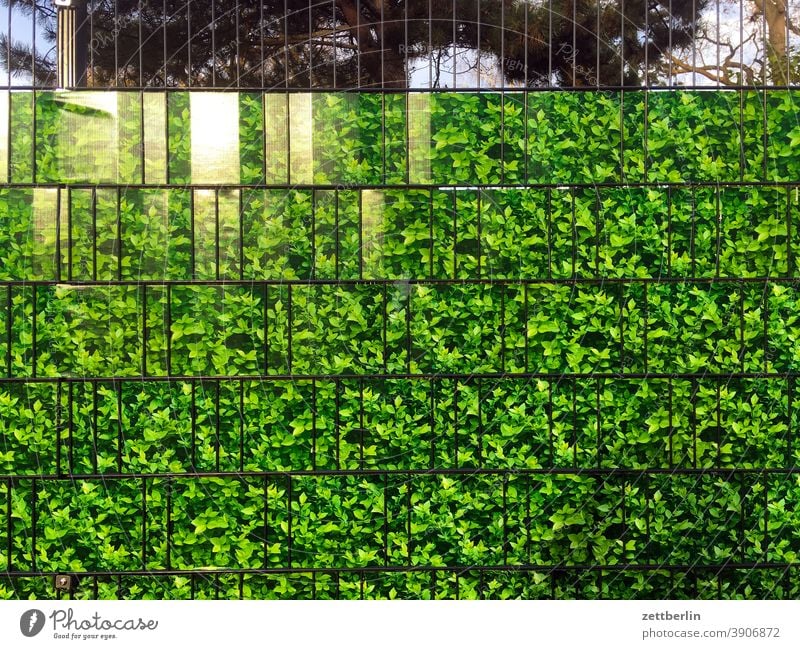 Fence with plastic film Branch Tree Relaxation holidays Garden allotment Garden allotments Deserted Nature Plant tranquillity Garden plot Summer shrub