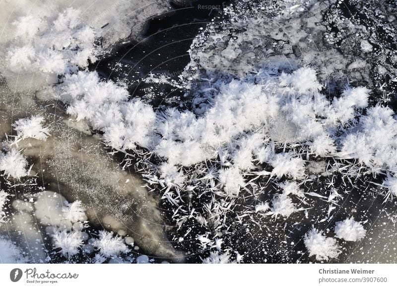 Ice and snow crystals ice crystals Winter Seasons Frost chill Frozen surface Cold Exterior shot Nature Freeze Deserted Hoar frost Snow Ice crystal White