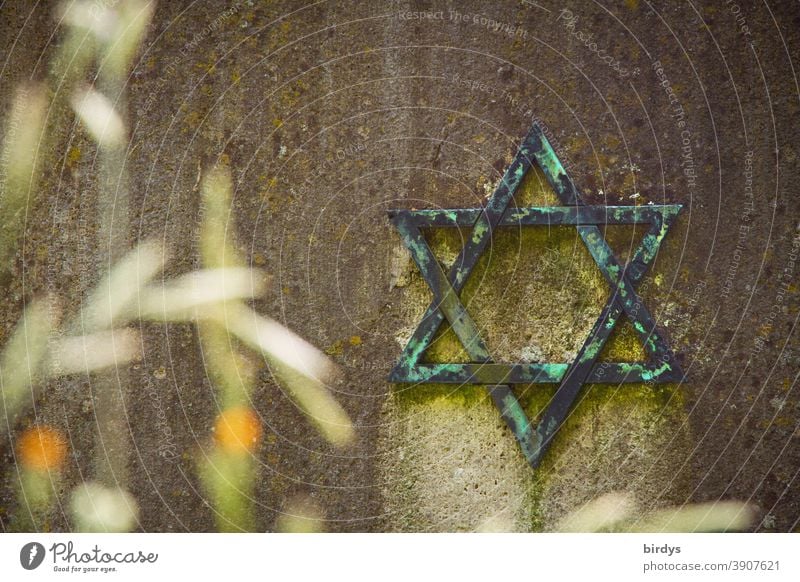 Jewish Star of David on a gravestone at a Jewish cemetery Judaism Religion and faith Tombstone Grief commemoration Weathered symbol Shallow depth of field