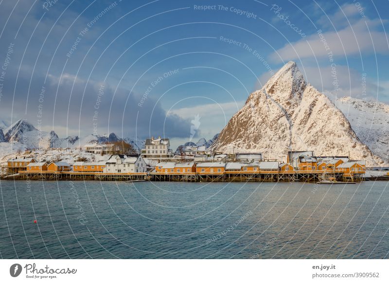 Sakrisoy in the Lofoten Sakrisøy Lofotes Norway Island Fjord mountains Winter Snow vacation voyage Ocean coast North Sea Scandinavia Rorbuer Fishing village